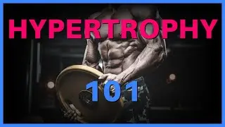 HYPERTROPHY 101 | Myofibrillar vs Sarcoplasmic Hypertrophy | #Hypertrophy #MuscleGain #Bodybuilding
