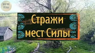 Стражи мест Силы | Источник святого Пантелеймона Целителя