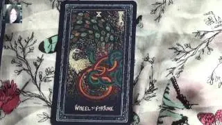 Prisma Visions Tarot review!