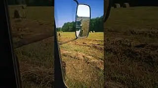 10 июля 2024 г.