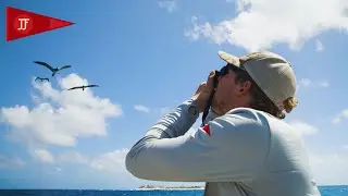 #VelaDispatch