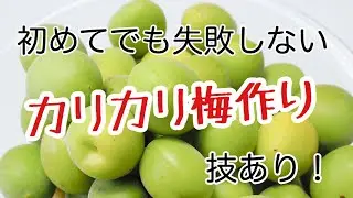 初めてでも簡単！失敗しないカリカリ梅作り♪