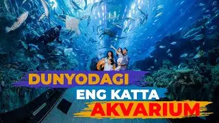 Dunyodagi eng katta akvarium qayerda? #Aquarium