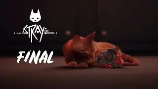 STRAY I FİNAL I TÜRKÇE