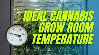 How warm should a grow room be? (Science Explained)