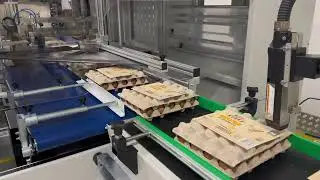 CTS-5532 Box Motion Egg Packaging