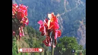 iphone 13 pro max zoom test | apple iphone 13 pro max camera zoom test | iphone 13 pro max zoom |