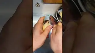Не готовь мидии, пока не посмотришь это видео!