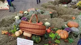 Золотая осень 2019