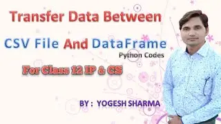 Transfer Data Between CSV File and DataFrame | How to create a CSV File