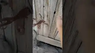 майнкрафт в реальной жизни 2