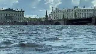 3 июня 2023 г.