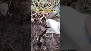 метал