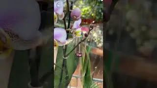 Скажи твердое НЕТ 