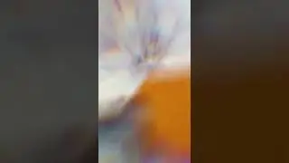 опять кабачки ?