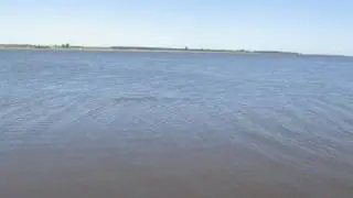 Pesca de carpa en rio santa lucia #2
