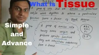 Tissue
