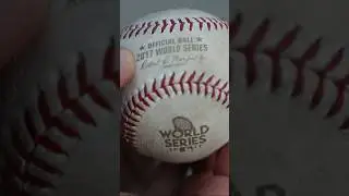 My experience at the 2017 World Series #dodgerstadium #shorts #baseball #worldseries #mlb