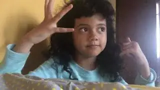 Sysel