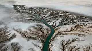 Why do riverbeds look like tree roots?