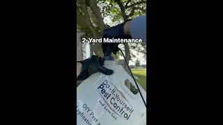 Pest Control Tips For This Summer!