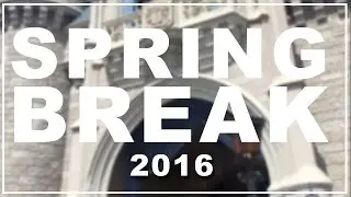 SPRING BREAK 2K16 | David Dixon
