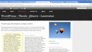 How to Add a Border to a Widget in Thesis with our Thesis Widget Styles Plugin