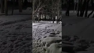 Разгон с места #AmStaffKotya