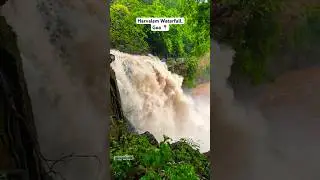Harvalem Waterfall, Goa 9.7.23 #waterfall#goa#shorts