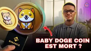 BABY DOGE COIN EST MORT