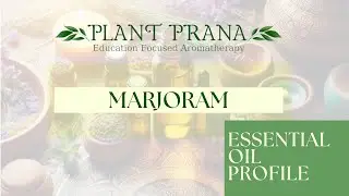 Marjoram Profile