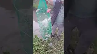 рыбалка удалась. 