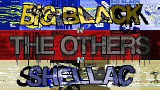 The Bands of Steve Albini