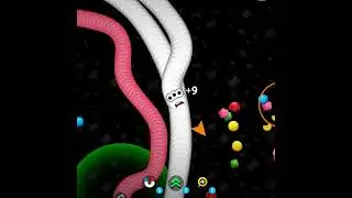 Pink Snake Died By White Snake In Circle | Zavenger