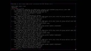 Установка Calculate Linux Server, на диск малого размера и файловая система Btrfs, плюс сеть.