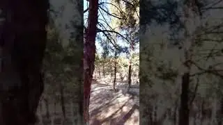 Sumqayıt Göyərçin parkı 1