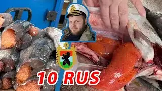 Путина ряпушки в разгаре❗❗❗ самая любимая рыба в Карелии❗