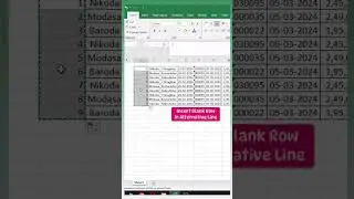 Insert Blank Rows In Alternative Line In Excel  