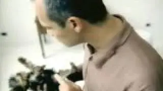 Собака телефон