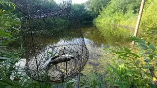 Ранкова риболовля.