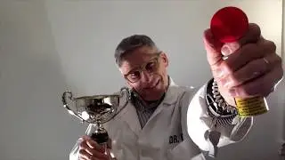 CHAMPION ATHLETES | Train2Reign with DrPain2Win - Horn Intro | Swimming |Diving | Water Polo