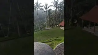 Happy swing bali