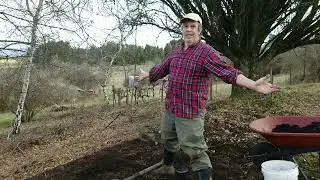 Rhubarb Planting Time!