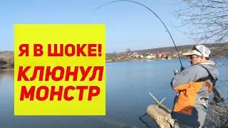 7 советов Как Ловить в Корягах. Мощнейшая поклевка, визг фрикциона… Что ты такое?