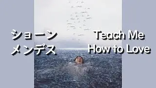 ショーン・メンデス『Teach Me How To Love』| 和訳