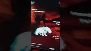 разбитая цирклетка♡