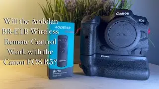 Aoedelan BR-E1B Wireless Remote Control
