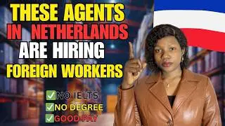 Move to Netherlands With Job Sponsorship in 2026 / Secure a job via legit Agents .
