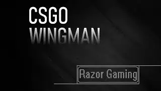 CS:GO ➡️ ¨WINGMAN¨ (prod. by Lezter)🔫