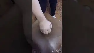 Магия😎😎😎